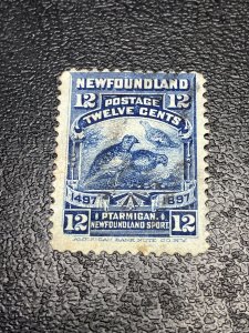 Newfoundland Scott 69 Used