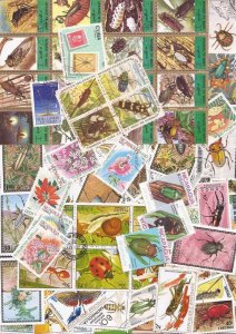 Insects on Stamps Collection - 300 Different Stamps