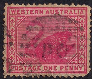 Western Australia 1886 - 96 QV 1d Carmine Rose Swans used SG 117a  ( J943 )