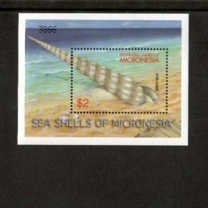 Micronesia 2002 - Sea shells - Souvenir Stamp Sheet - Scott #459 - MNH