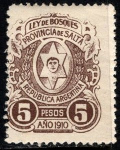 Vintage Argentina Local Revenue 5 Centavos Salta Province General Tax Duty