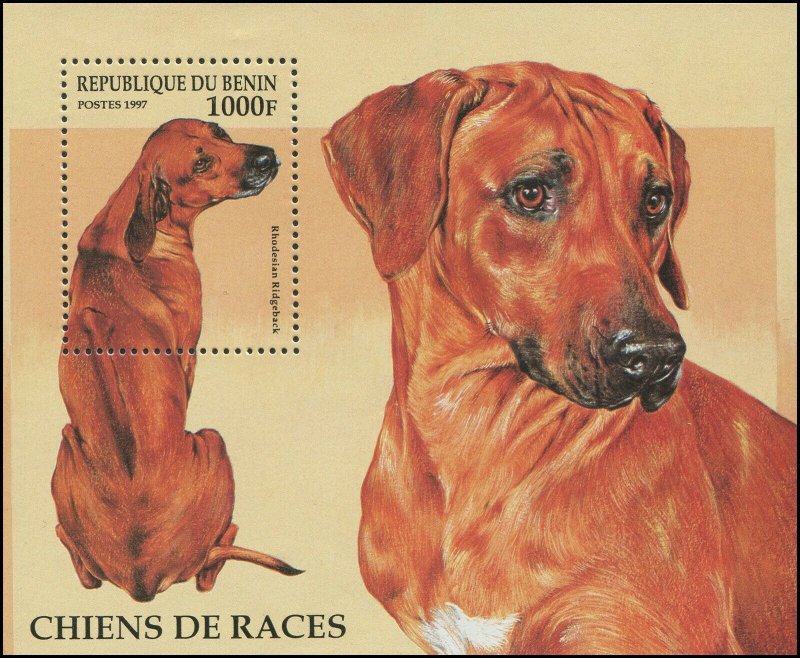 Benin 1997 Sc 986 Dog ridgeback CV $5