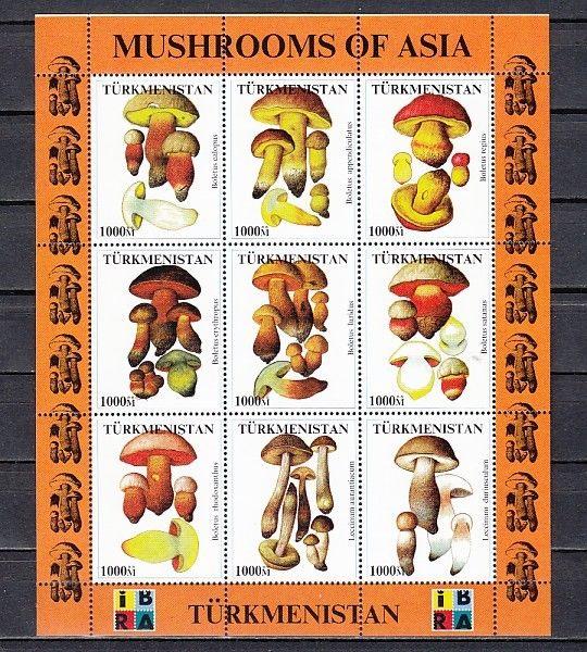 Turkmenistan, 1999 Russian Local. Mushrooms of Asia sheet of 9