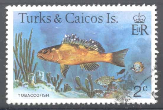 Turks & Caicos ~ #361 ~ Tobacco Fish ~ Used