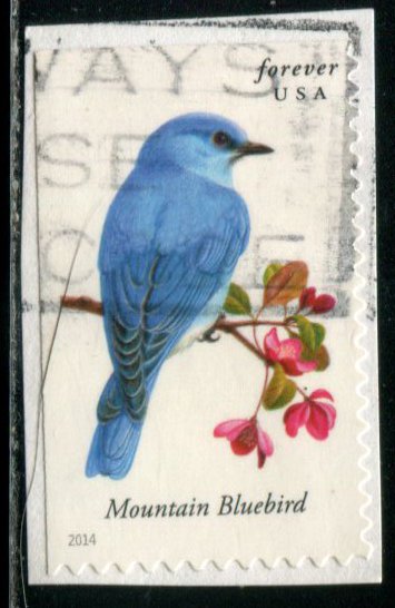 4883 US (49c) Songbirds - Mountain Bluebird SA, used on paper