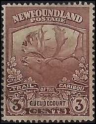 NEWFOUNDLAND   #117 USED (26)