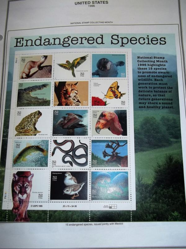 Endangered Species Sheet