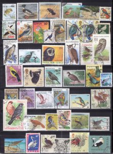 ZAYIX Birds Collection Worldwide Mint & Used Nature Animals 011023SM13