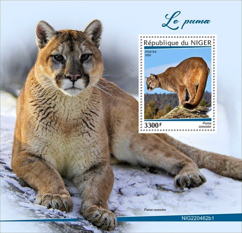 Niger - 2022 Cougar on Stamps - Stamp Souvenir Sheet - NIG220462b1