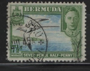 BERMUDA 121d   USED