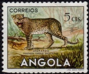 Angola 362 - Unused-NG - 5c Leopard (1953) (2)