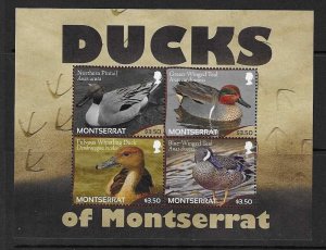 MONTSERRAT SGMS1503 2012 DUCKS MNH