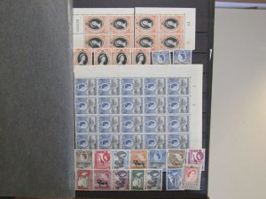 KENYA UGANDA & TANG (K.U.T.) Collection of mint and used duplicated QEII - 30425