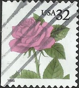 # 2492 USED RED ROSE    