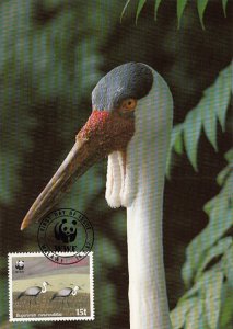 Malawi 1987 Maxicard Sc #495 15t Wattled crane WWF