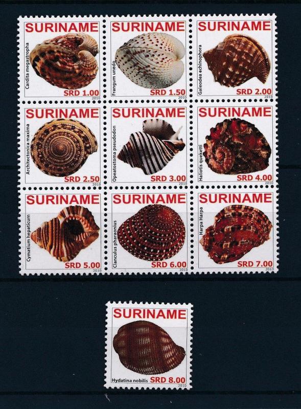 [SU1685] Suriname Surinam 2010 Marine life Seashells MNH