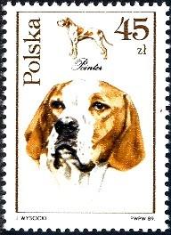 Dog, Pointer, Poland stamp SC#2905 MNH
