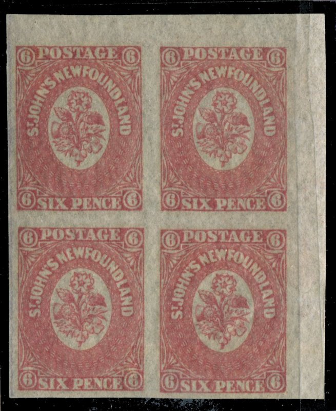 Newfoundland #20 SG 20 MNH VF 6 Pence 1861-1862 Is. [N4057] CV=$240.00