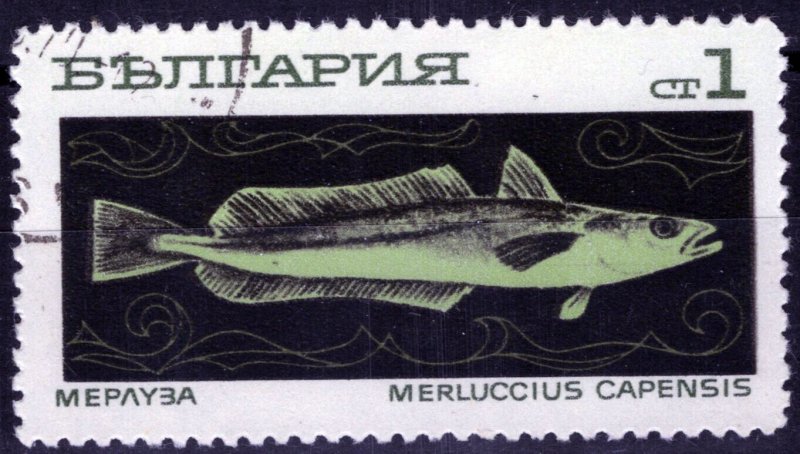 ZAYIX Bulgaria 1810 Used/CTO European Hake Fish Marine Life 072822S06M