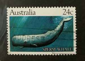 Australia 1982 Scott 821 used - 24c,  Sperm Whale