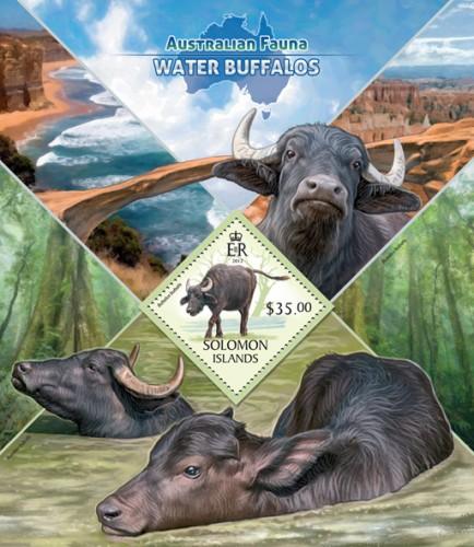 SOLOMON ISLANDS 2013 SHEET WATER BUFFALOS BUFFALOES WILDLIFE slm13406b