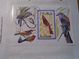 Ras AL Khaima  Birds  used