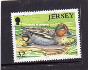 Jersey 1997 Birds used