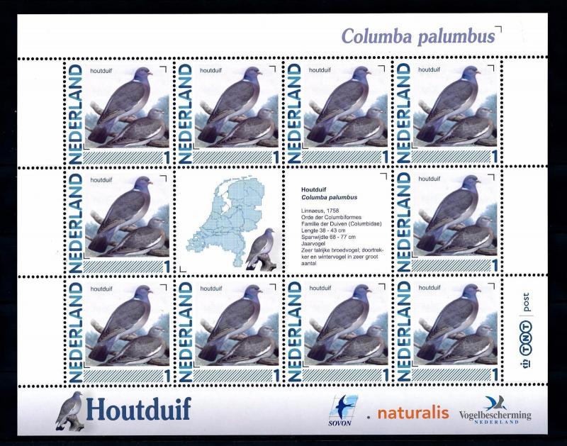 [43426] Netherlands Nederland 2011 Birds Vögel Columba palumbus MNH Sheet