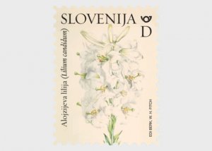 2024 Slovenia Madonna Lilies   (Scott NA) MNH