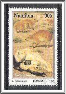 Namibia #781 Fossils Used