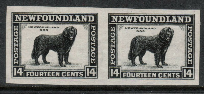 Newfoundland #194a Extra Fine Never Hinged Imperf Pair