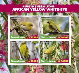 Sierra Leone - 2020 African Yellow White-eye - 4 Stamp Sheet - SRL200631a