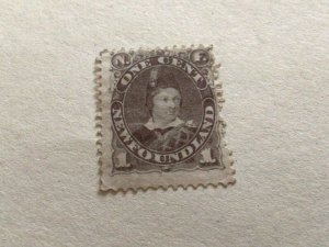 Newfoundland 1880 Brown  stamp A13209