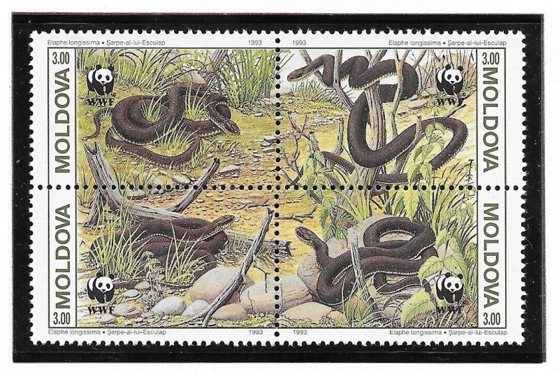 MOLDOVA SC 72 NH issue of 1993 - WWF - SNAKES