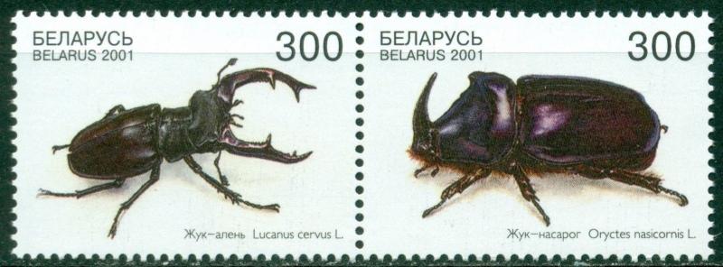 Belarus Scott #385 MNH PAIR Beetles Insects Fauna $$