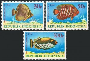 Indonesia 834-836,MNH.Michel 722-724. Fish 1972.Butterfly-fish,Regal angelfish,