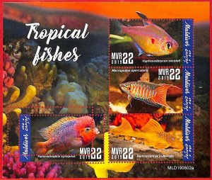 A4114 - MALDIVES - ERROR MISPERF. Miniature sheet: 2019, Tropical fish