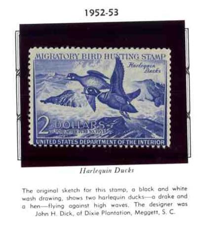 RW19 Harlequin Ducks Ducks Duck Stamp Mint & Never Hinged