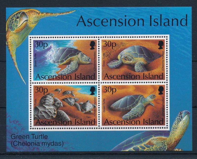 [31455] Ascension 1994 Marine Life Turtles MNH  Sheet