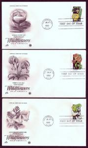 UNITED STATES FDCs (50) 29¢ Wildflowers 1992 Postal Commem