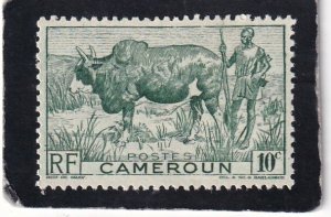 Cameroun     #    304     unused