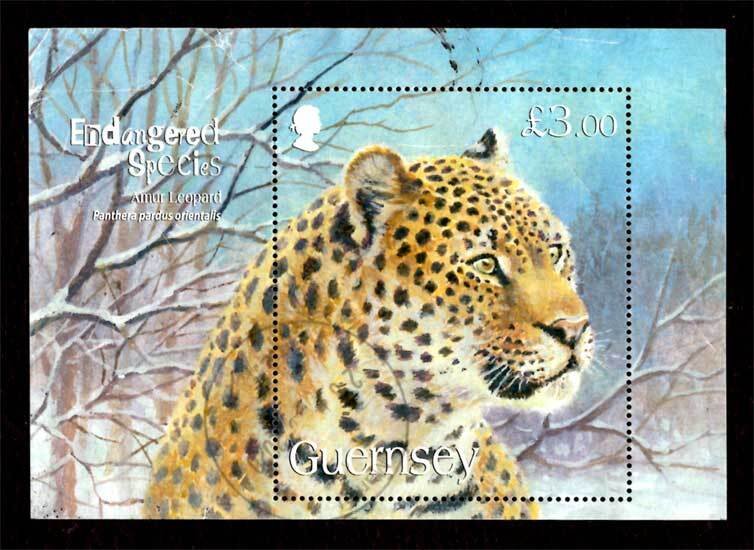 Guernsey 2009 Endangered Species: Amur Leopard, Tiger S/S £3 SG.MS1266 Used