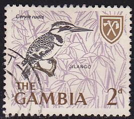 Gambia 218 USED 1966 Pied Fingfisher