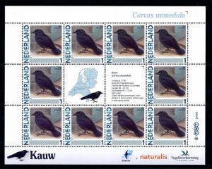 [43429] Netherlands Nederland 2011 Birds Vögel Ucelli Corvus monedula MNH Sheet