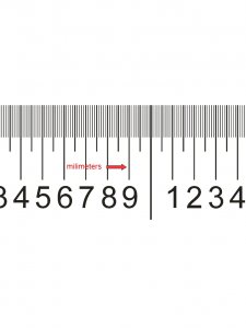 etiangui Transparent Perforation Gauge ( Odontometer )