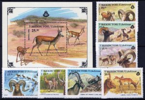 ZAYIX Uzbekistan 104-111 MNH Wildlife Animals Rams 113022S175