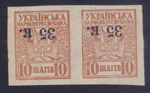 Ukraine 49a MNH OG 1919 35k on10sh INVERTED SURCHARGE Pair VF-XF