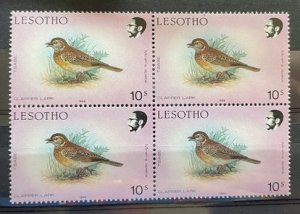 (1728) LESOTHO 1988 : Sc# 621 CLAPPER LARK - MNH VF BLOCK OF 4