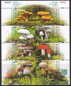 Poland, Mushrooms  / MNH / 2014