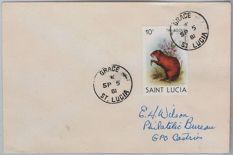 39804  ST LUCIA -  POSTAL HISTORY - COVER with nice postmark: GRACE 1981 